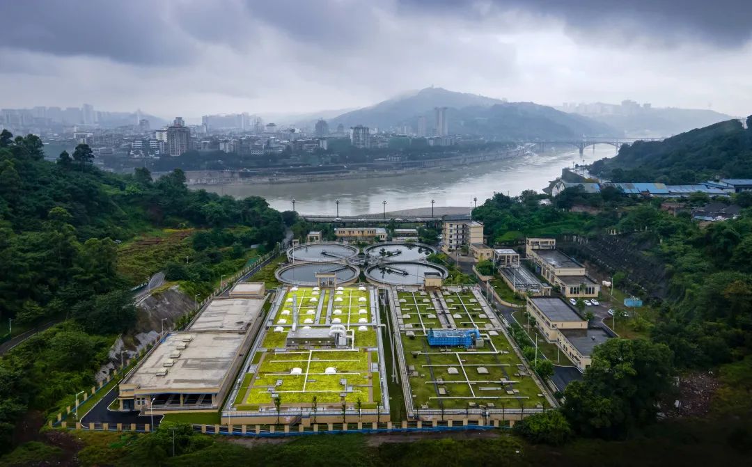 中国·永利(88858cc·VIP认证)官网 - GREEN LIFE